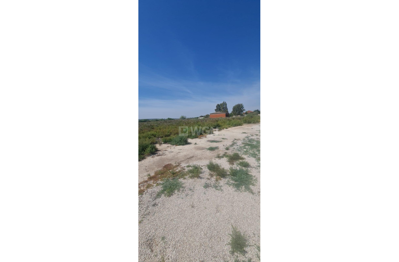 Resale - Plot / Land - La Hoya - La Hoya-daimes-el Derramador