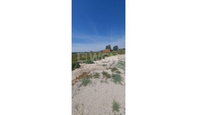 Resale - Plot / Land - La Hoya - La Hoya-daimes-el Derramador