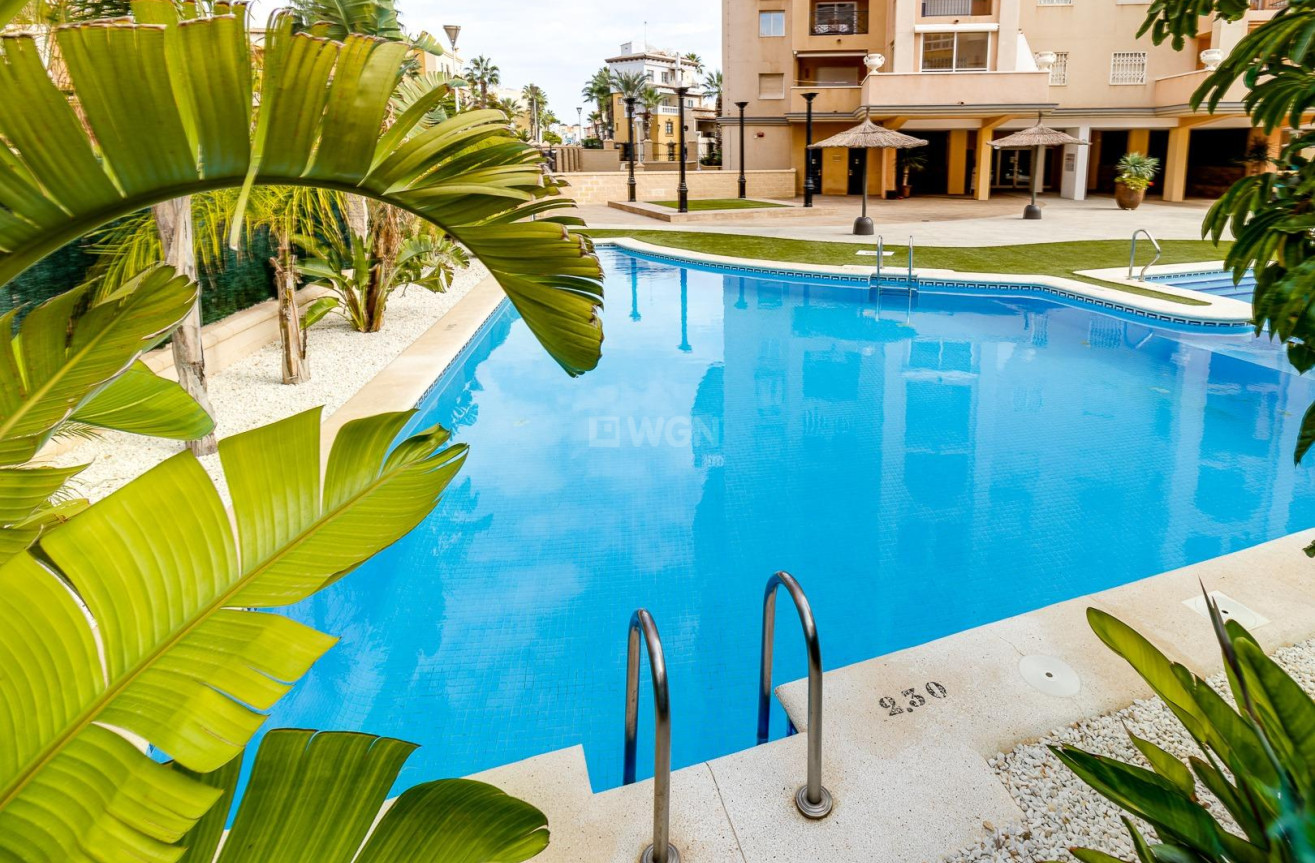 Odsprzedaż - Mieszkanie w bloku - Torrevieja - Playa de los Locos