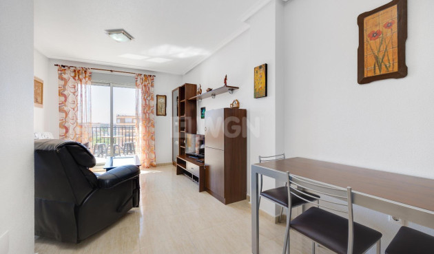 Odsprzedaż - Daszek - Torrevieja