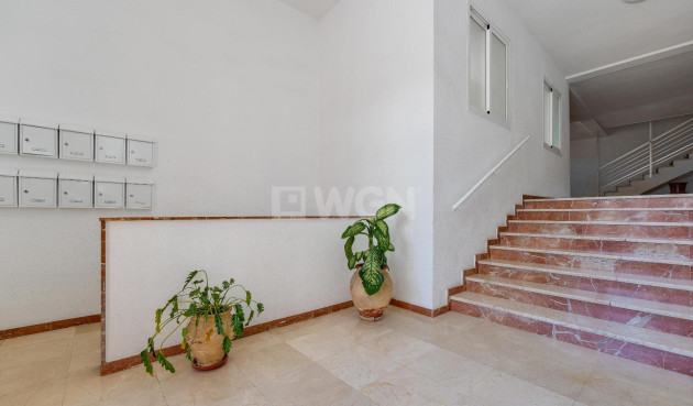 Odsprzedaż - Mieszkanie w bloku - San Pedro del Pinatar - Av. Dr Artero Guirao