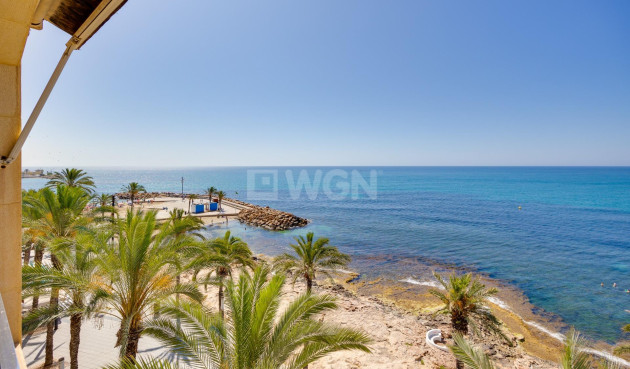 Odsprzedaż - Mieszkanie w bloku - Torrevieja - Paseo Maritimo