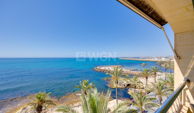 Odsprzedaż - Mieszkanie w bloku - Torrevieja - Paseo Maritimo