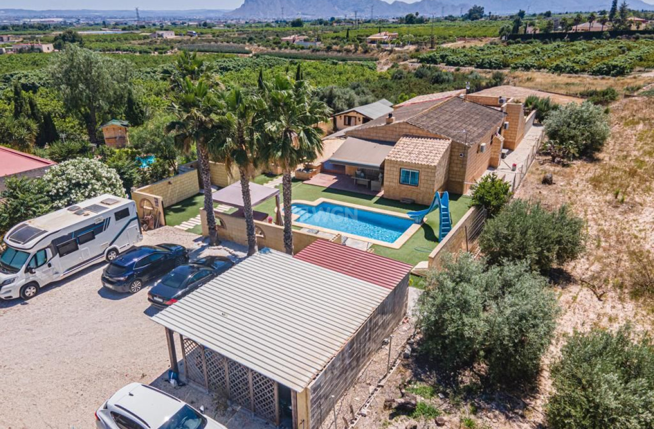 Resale - Villa - Albatera - Inland