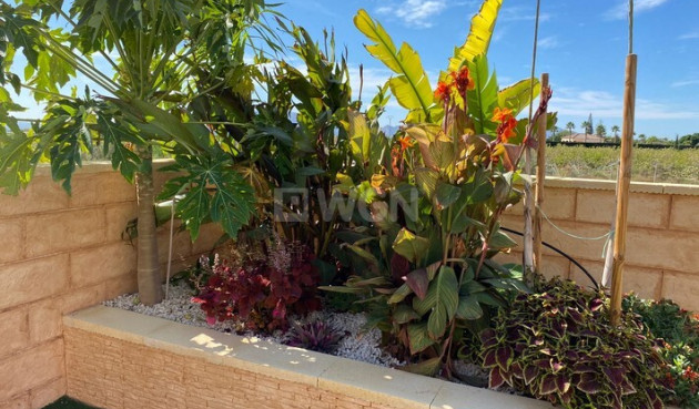 Resale - Villa - Albatera - Inland