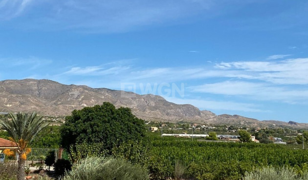 Resale - Villa - Albatera - Inland