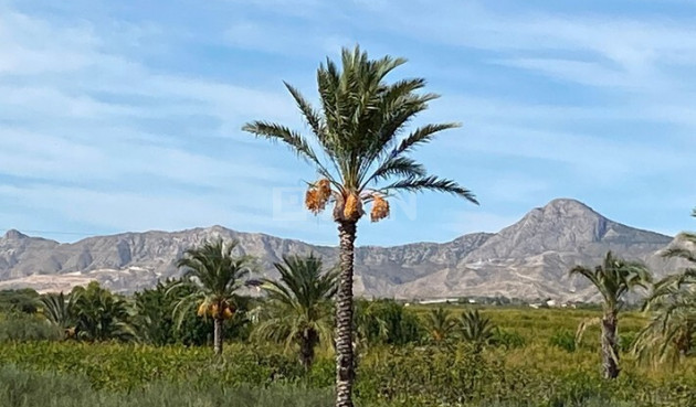 Resale - Villa - Albatera - Inland