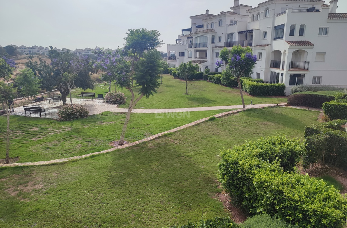 Resale - Apartment / flat - Hacienda Riquelme Golf Resort - Inland