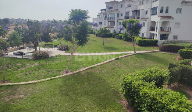 Resale - Apartment / flat - Hacienda Riquelme Golf Resort - Inland