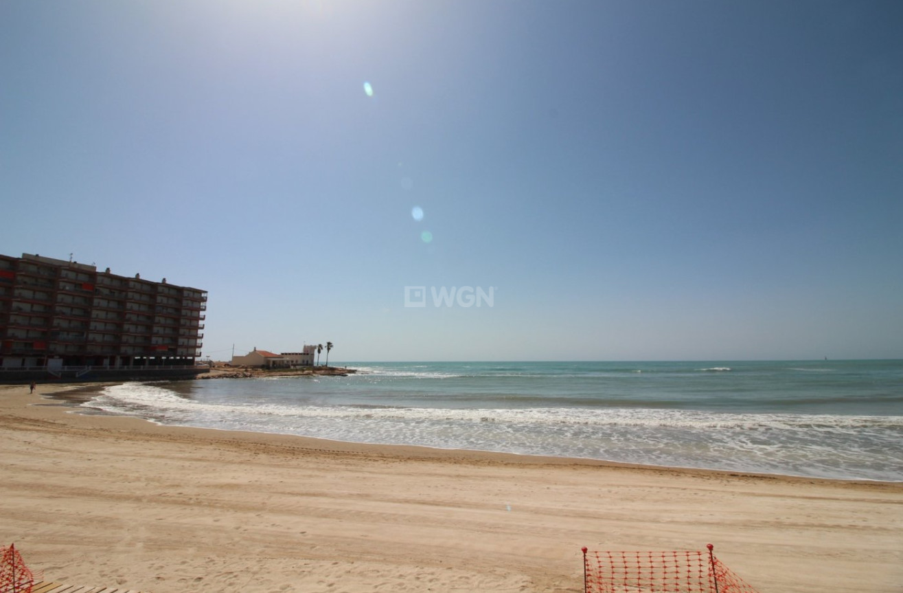 Reventa - Parking - Torrevieja - Rosaleda-los Frutales