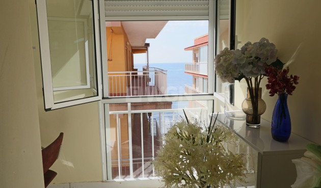 Wiederverkauf - Penthouse - Torrevieja - Costa Blanca