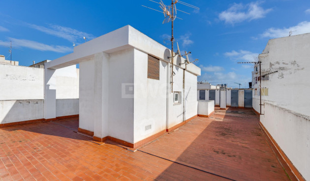 Odsprzedaż - Daszek - Torrevieja - Paseo Maritimo