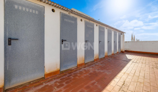 Odsprzedaż - Daszek - Torrevieja - Paseo Maritimo