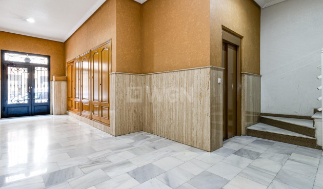 Odsprzedaż - Daszek - Torrevieja - Paseo Maritimo