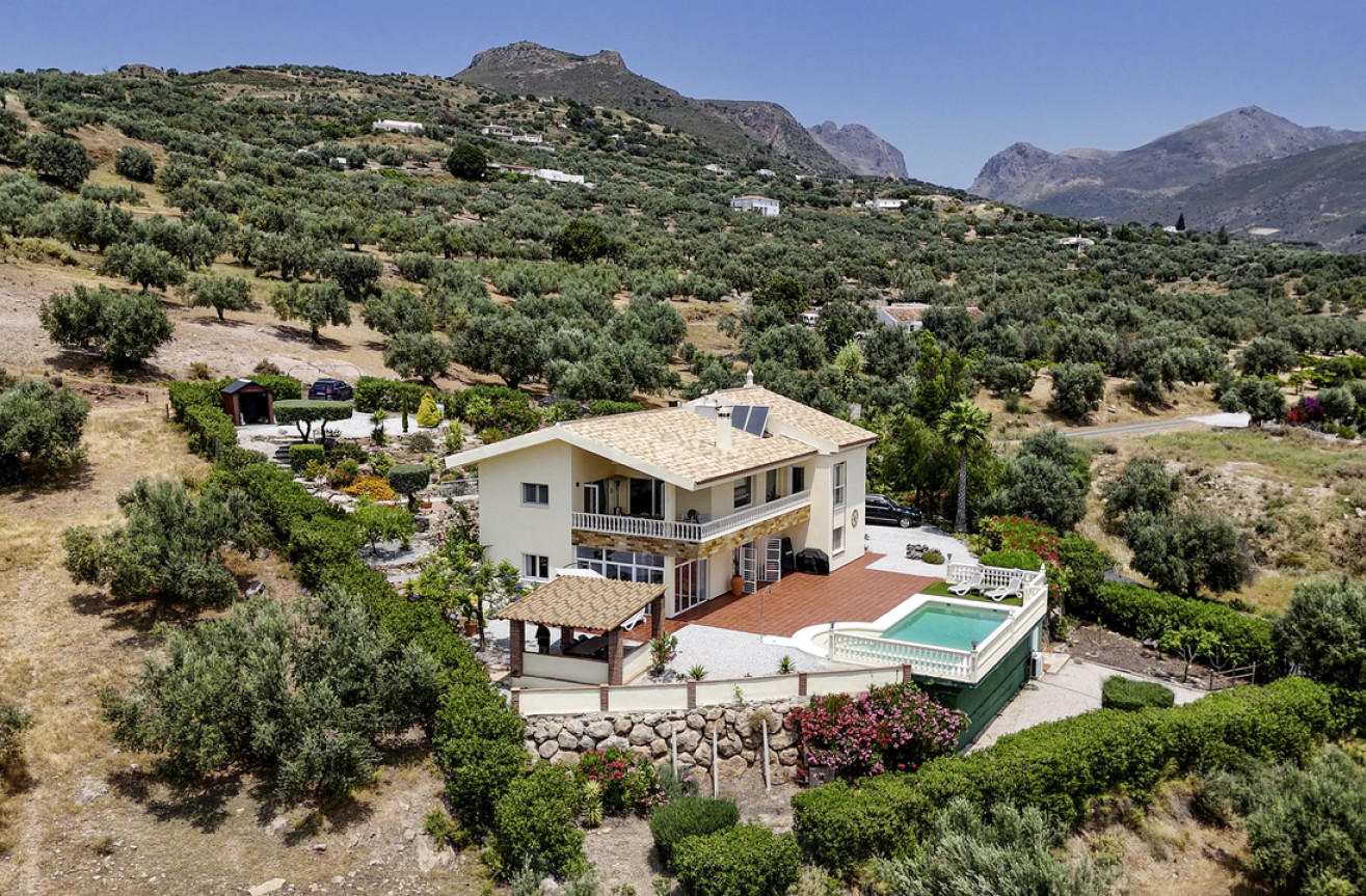 Odsprzedaż - Villa - Alcaucín - Inland