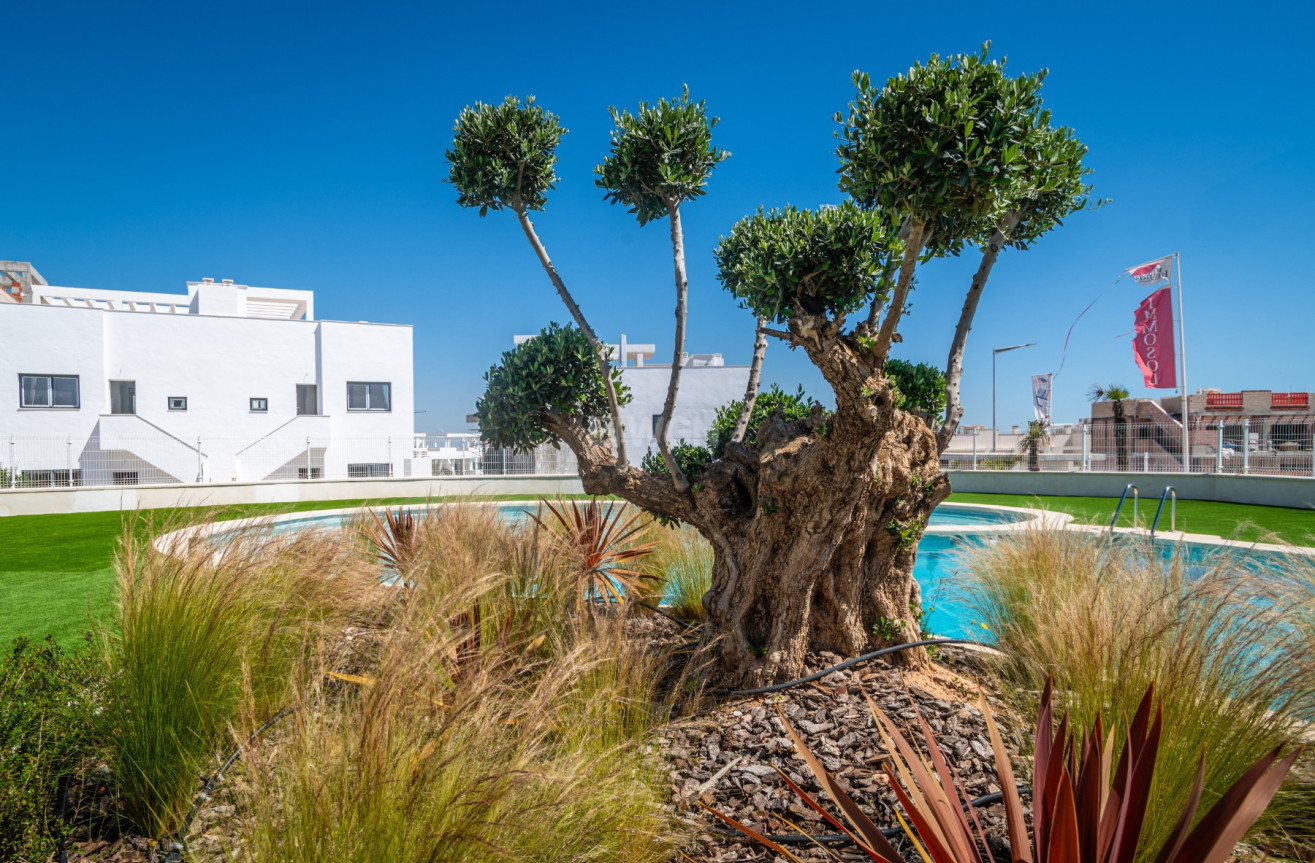 Odsprzedaż - Mieszkanie w bloku - Torrevieja - Costa Blanca