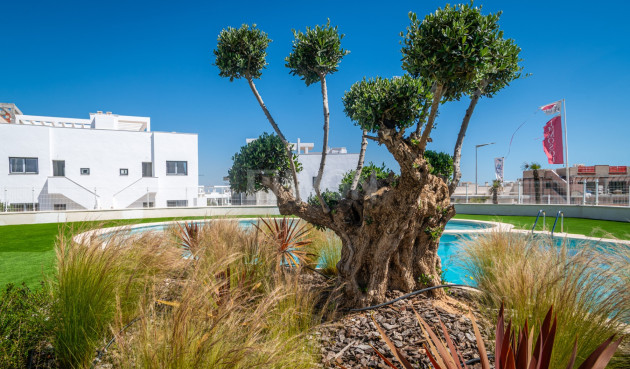 Odsprzedaż - Mieszkanie w bloku - Torrevieja - Costa Blanca