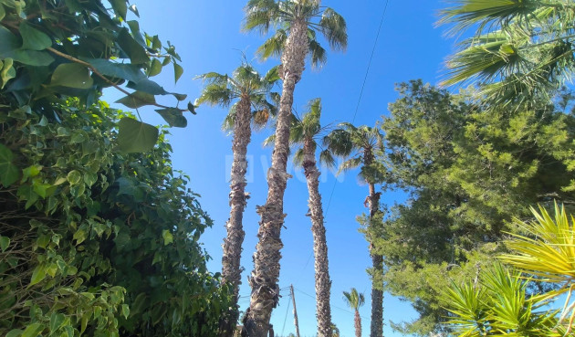 Resale - Villa - Torrevieja - La Siesta