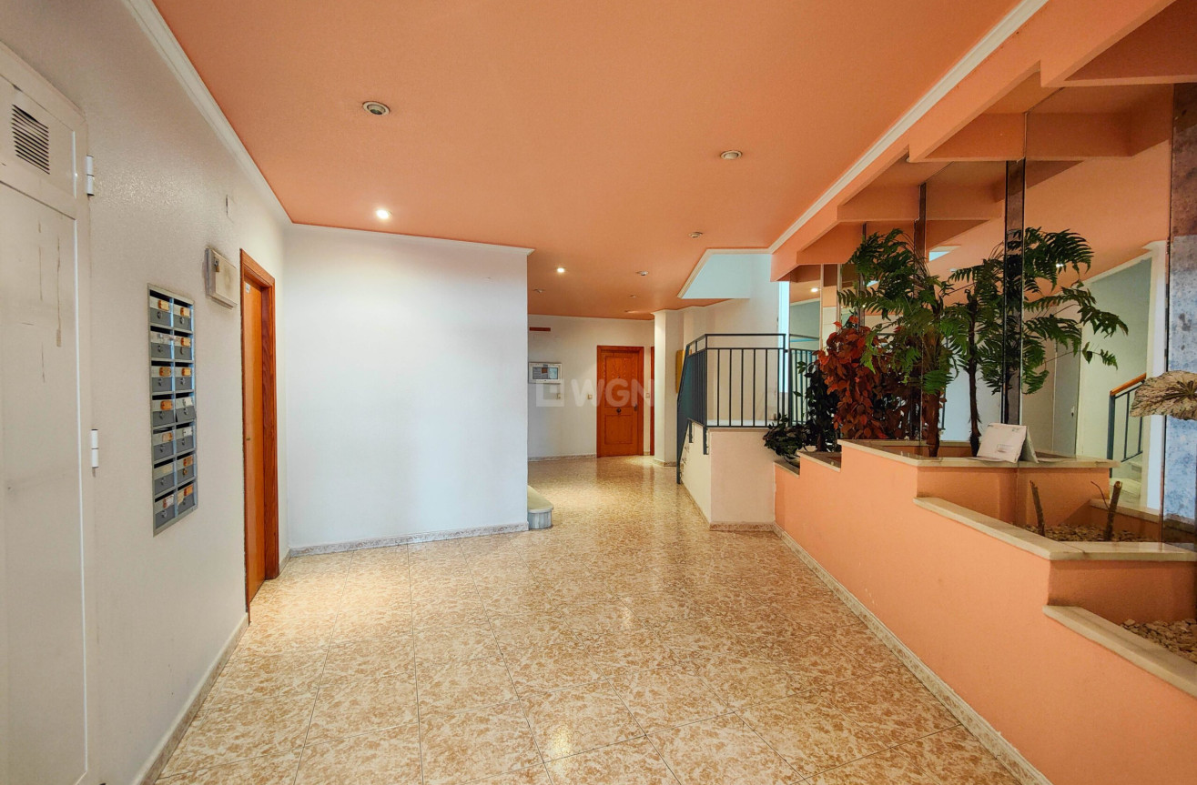 Wiederverkauf - Wohnung - Torrevieja - Costa Blanca