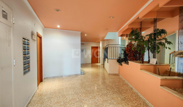 Wiederverkauf - Wohnung - Torrevieja - Costa Blanca
