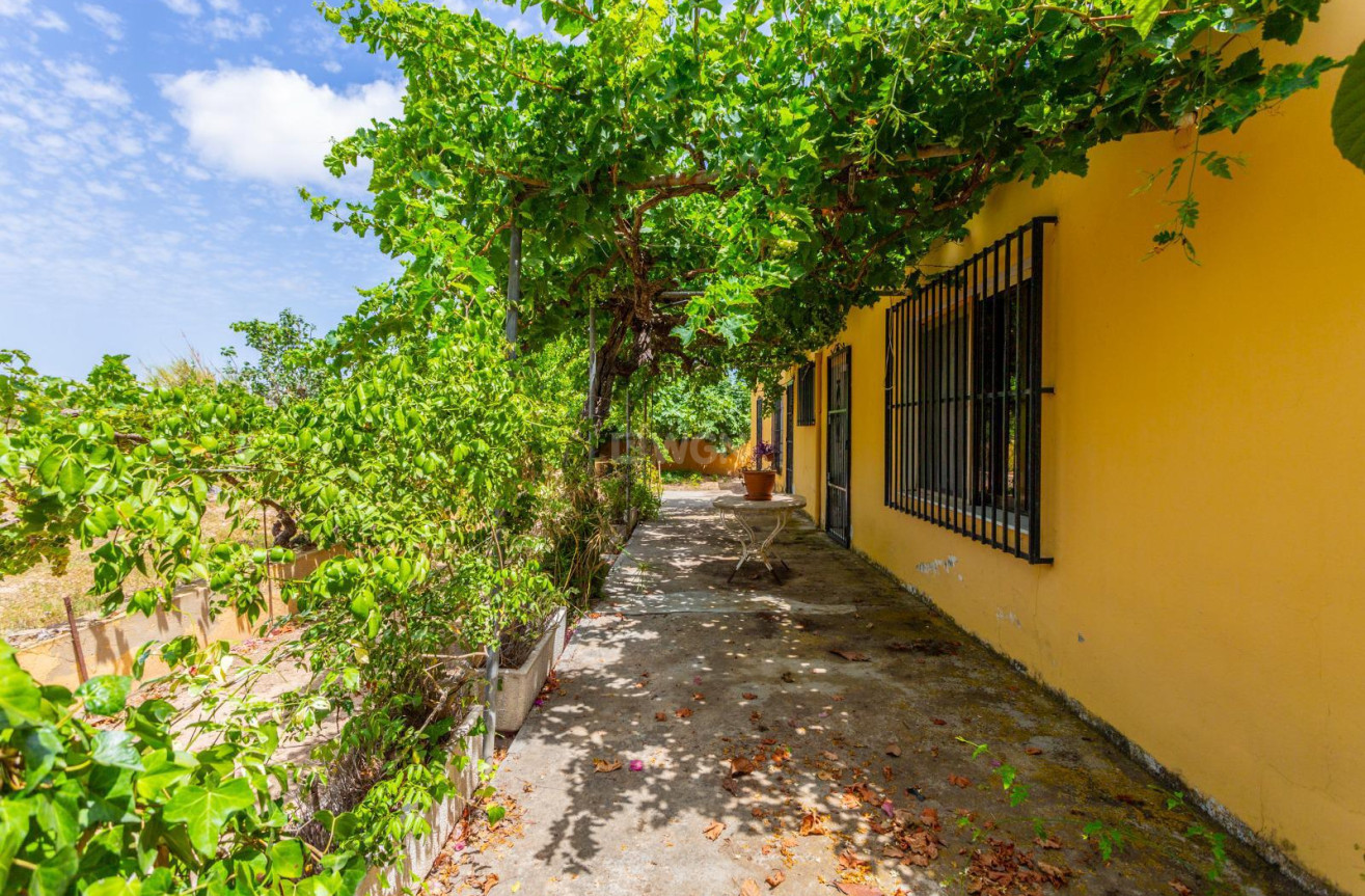 Wiederverkauf - Villa - Los Montesinos - Costa Blanca