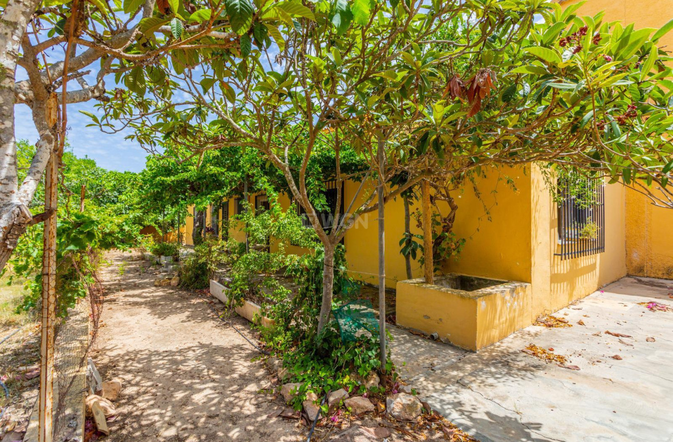 Wiederverkauf - Villa - Los Montesinos - Costa Blanca