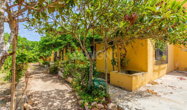 Wiederverkauf - Villa - Los Montesinos - Costa Blanca