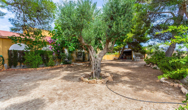 Wiederverkauf - Villa - Los Montesinos - Costa Blanca