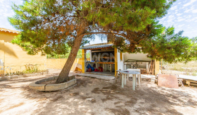 Wiederverkauf - Villa - Los Montesinos - Costa Blanca