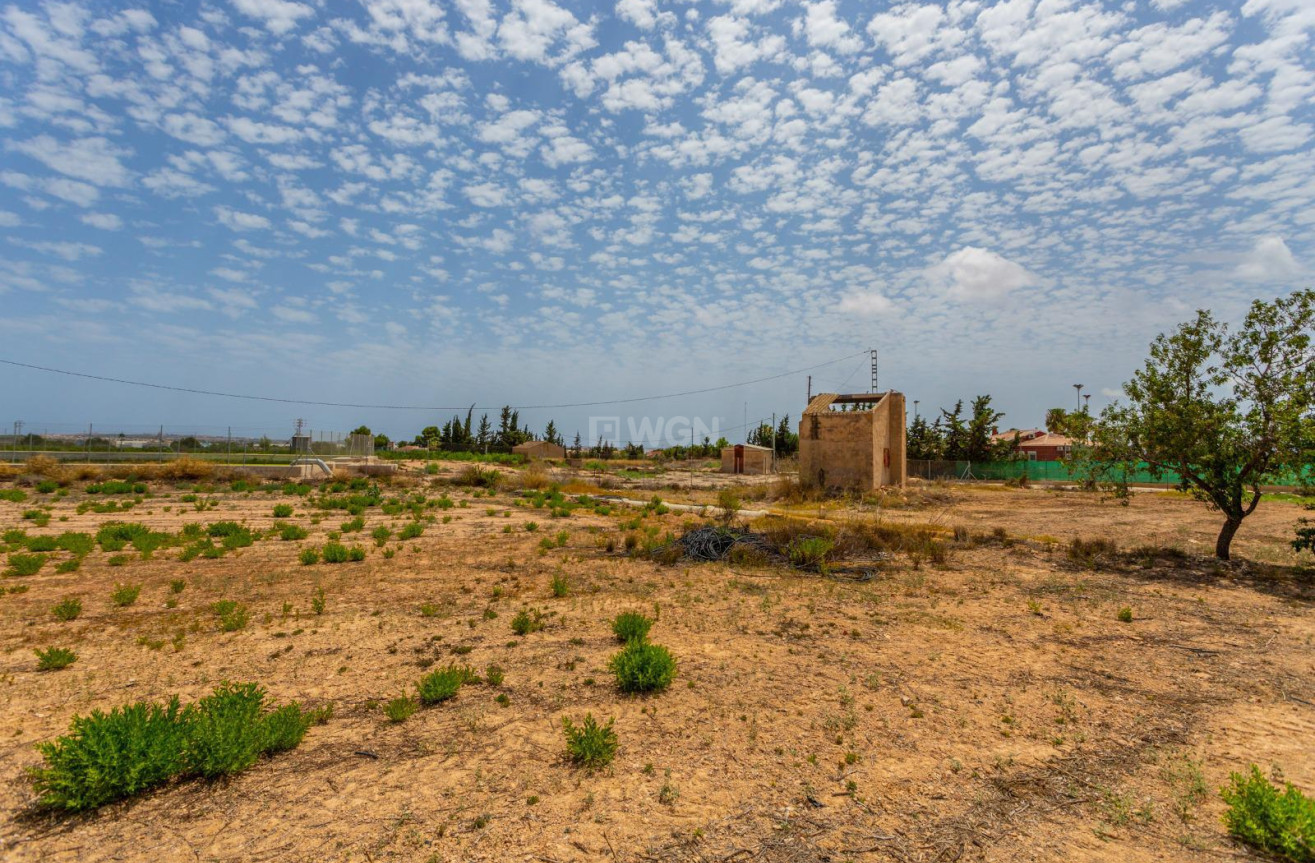 Wiederverkauf - Villa - Los Montesinos - Costa Blanca