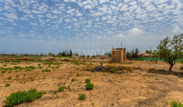 Wiederverkauf - Villa - Los Montesinos - Costa Blanca