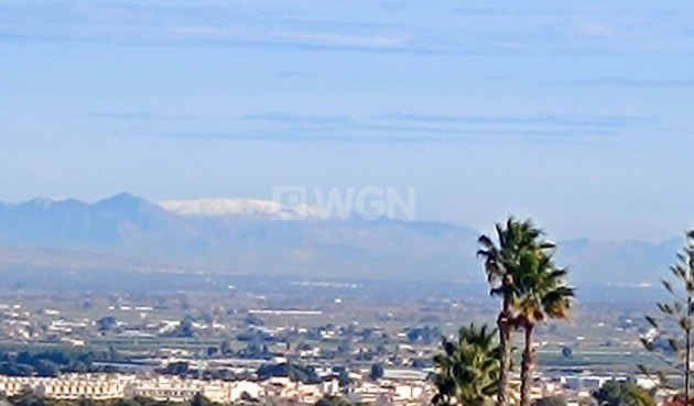 Resale - Villa - Algorfa - Inland