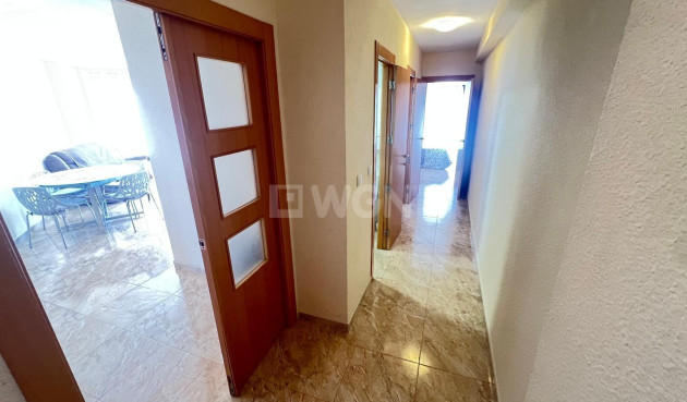 Reventa - Apartamento / piso - Torrevieja - Playa de los Locos