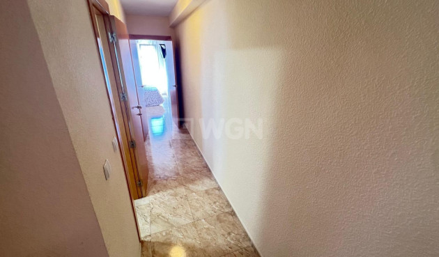 Reventa - Apartamento / piso - Torrevieja - Playa de los Locos