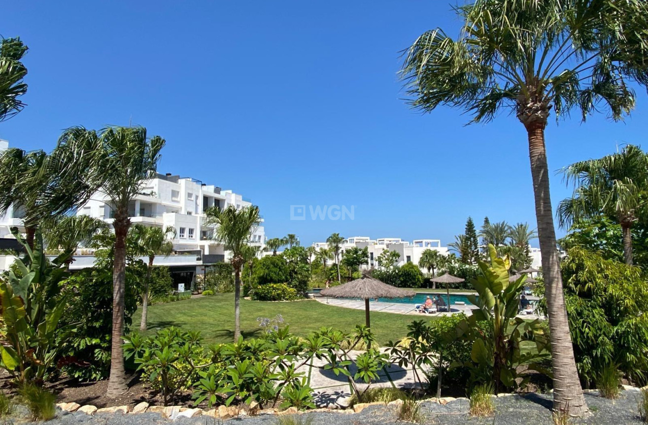 Odsprzedaż - Daszek - Torrevieja - Punta Prima