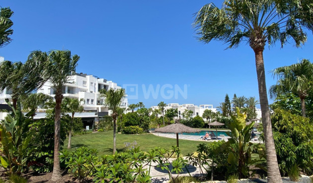 Odsprzedaż - Daszek - Torrevieja - Punta Prima