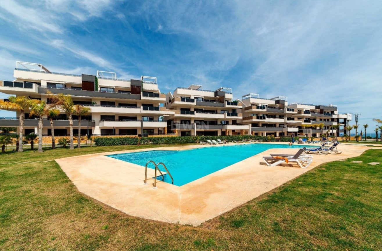 Reventa - Apartamento / piso - Playa Flamenca - Costa Blanca