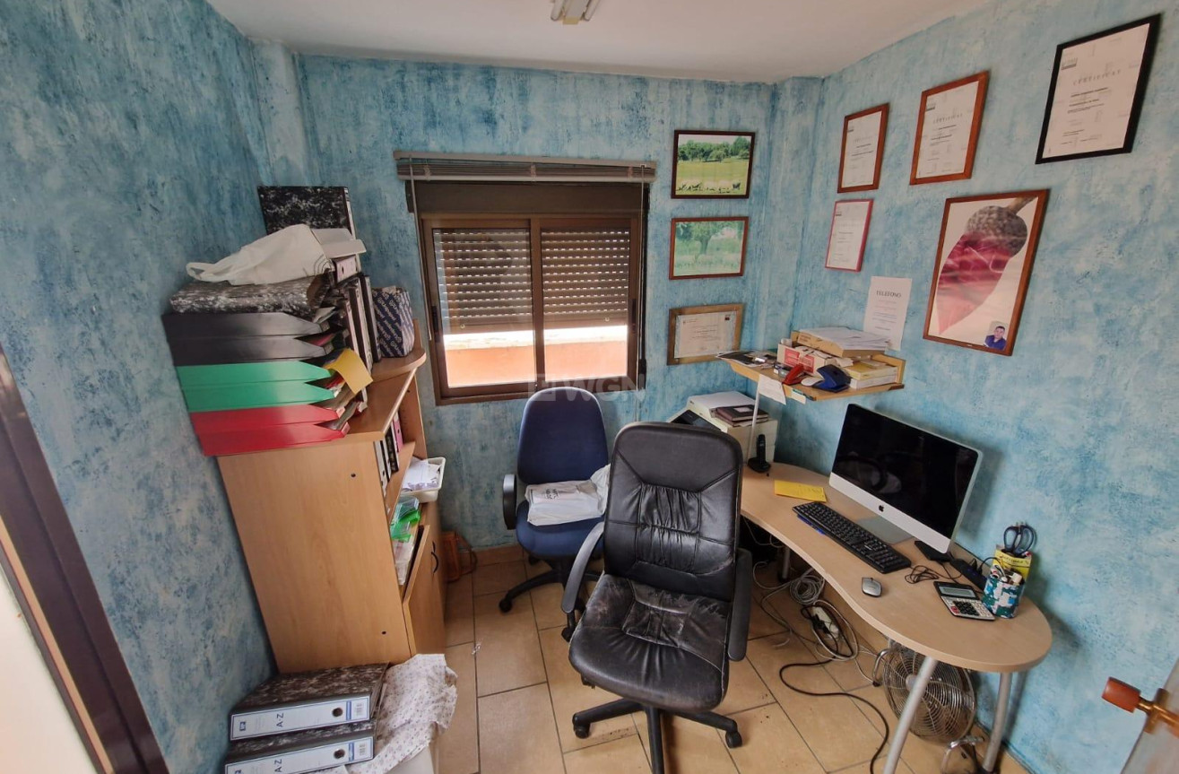 Odsprzedaż - Reklama w telewizji - Torrevieja - Estacion De Autobuses