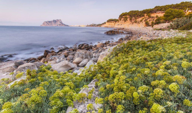 Nowy budynek - Villa - Benissa - Cala Advocat