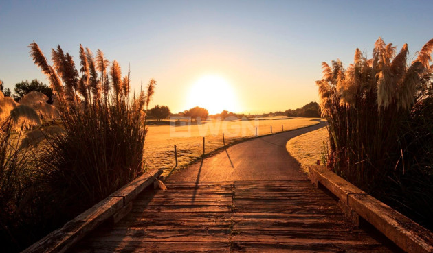 Nowy budynek - Villa - Pilar de la Horadada - Lo Romero Golf