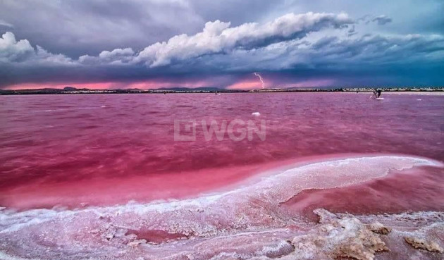 Obra nueva - Ático - Torrevieja - Centro