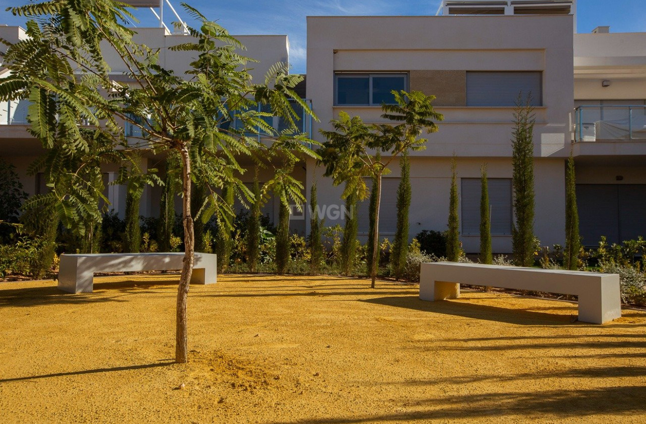 Nowy budynek - Bungalow - Orihuela - Vistabella Golf