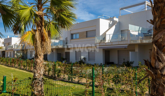 Nowy budynek - Bungalow - Orihuela - Vistabella Golf