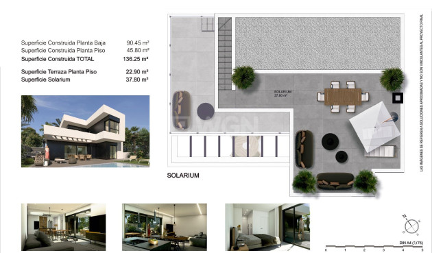 Nowy budynek - Villa - Rojales - Benimar