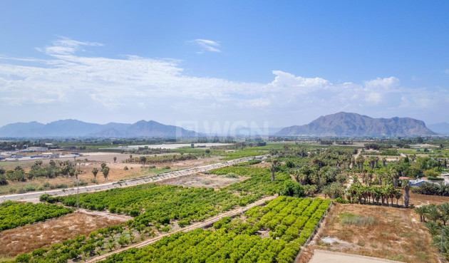 New Build - Penthouse - Jacarilla - pueblo