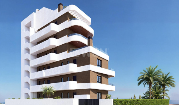 Obra nueva - Apartamento / piso - Guardamar del Segura - Camino del Puerto