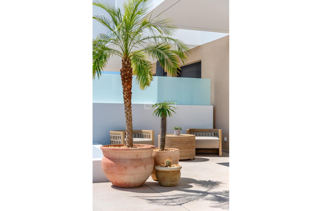 Neue Gebäude - Stadthaus - Dolores - Sector 3