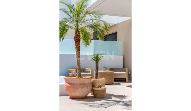 Neue Gebäude - Stadthaus - Dolores - Sector 3