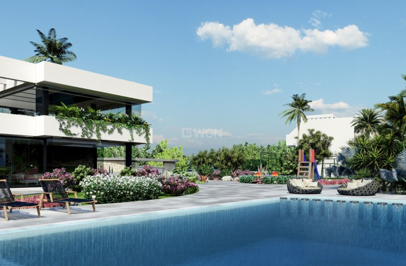 Nowy budynek - Daszek - Guardamar del Segura - El Raso