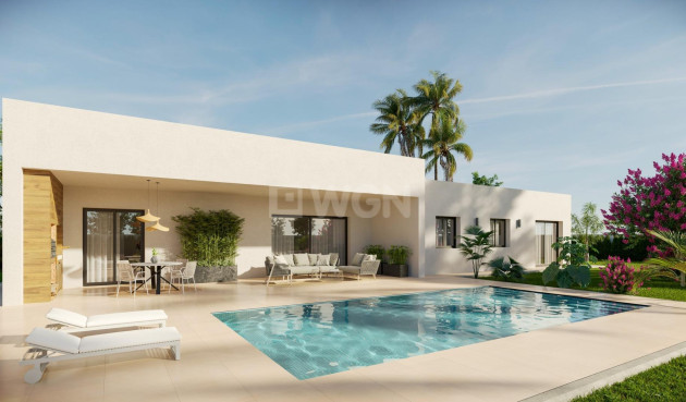 Nowy budynek - Villa - Aspe - Poligono 19